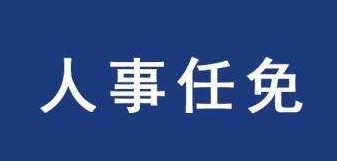 河北2市最新任免