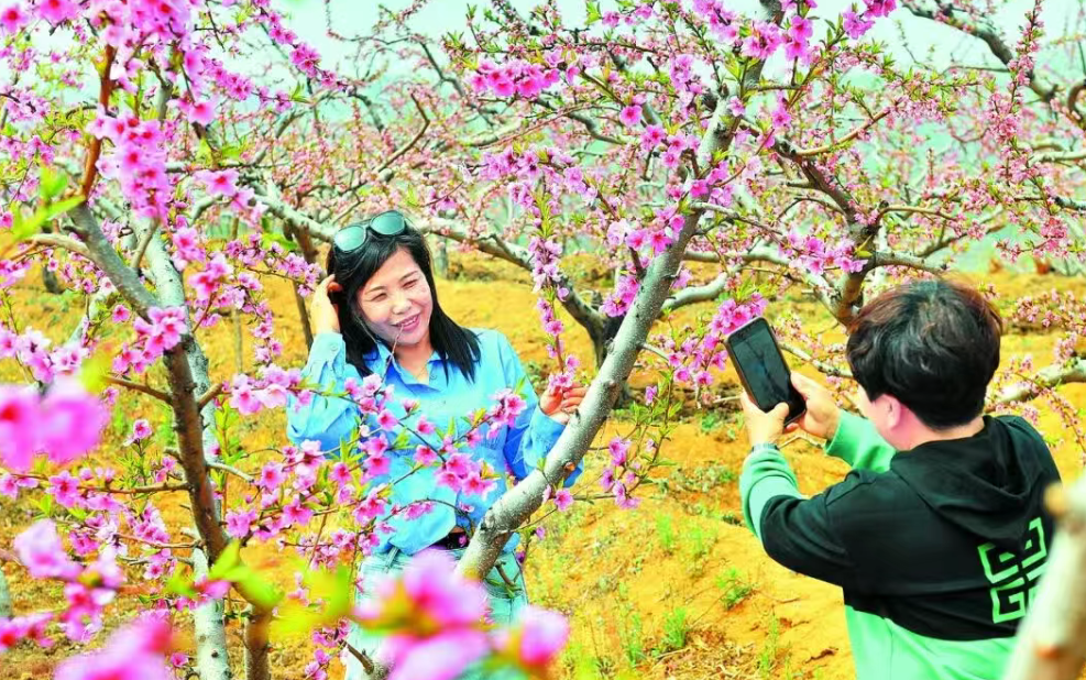以花为媒兴产业 文旅融合促增收