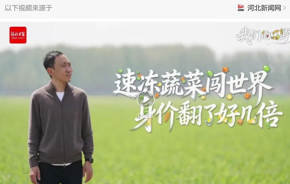 乐亭速冻蔬菜闯世界，身价翻了好几倍
